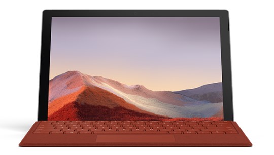 屏边清洁和维护 Surface